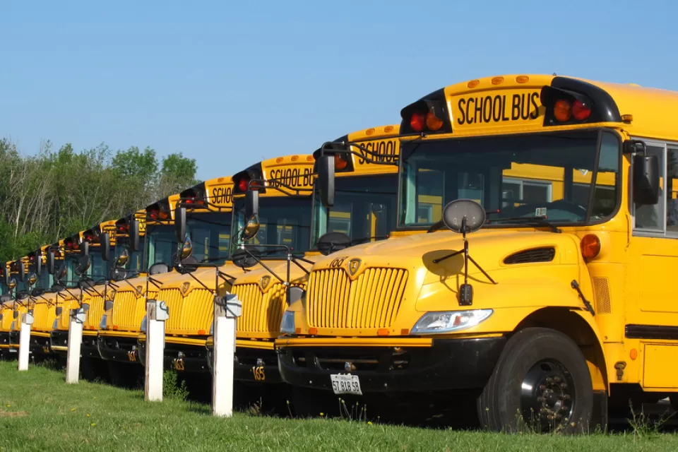 School Buses